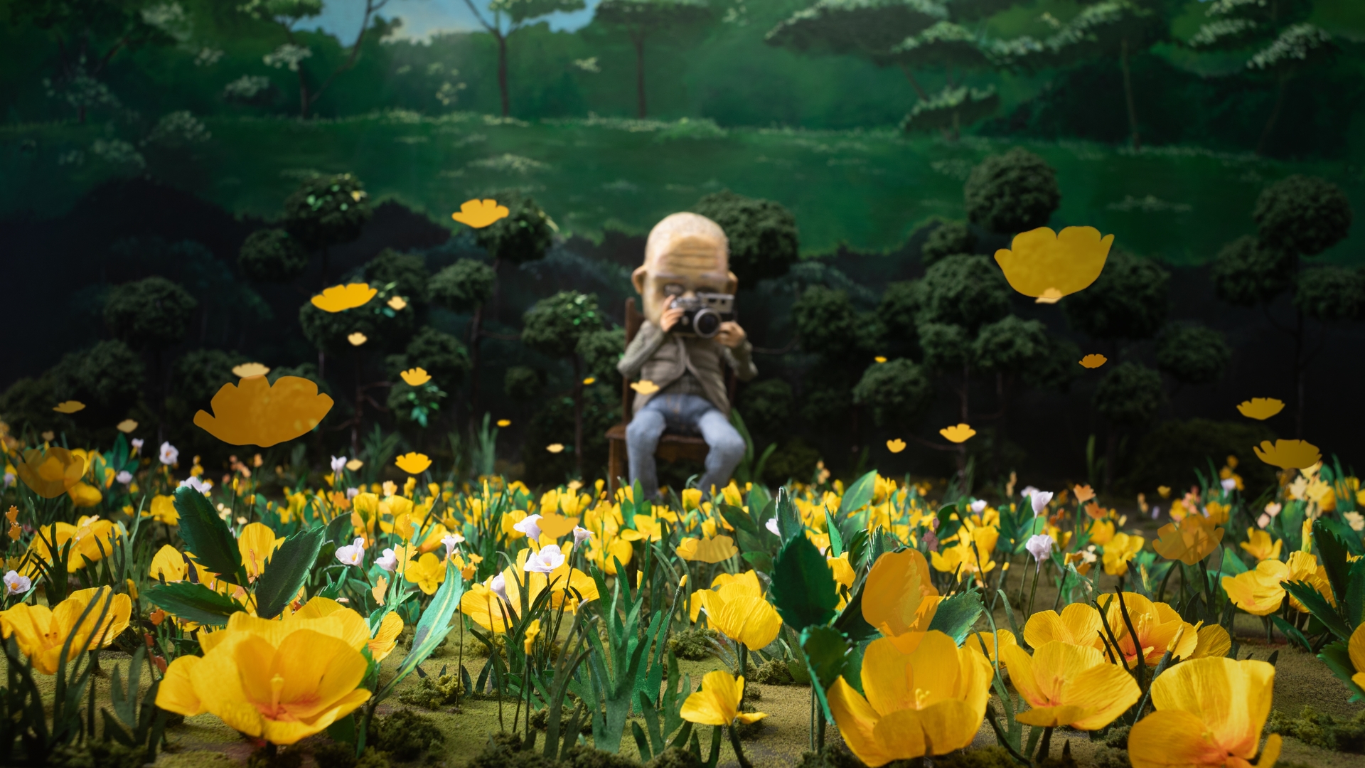 꽃 사진을 찍는 남자