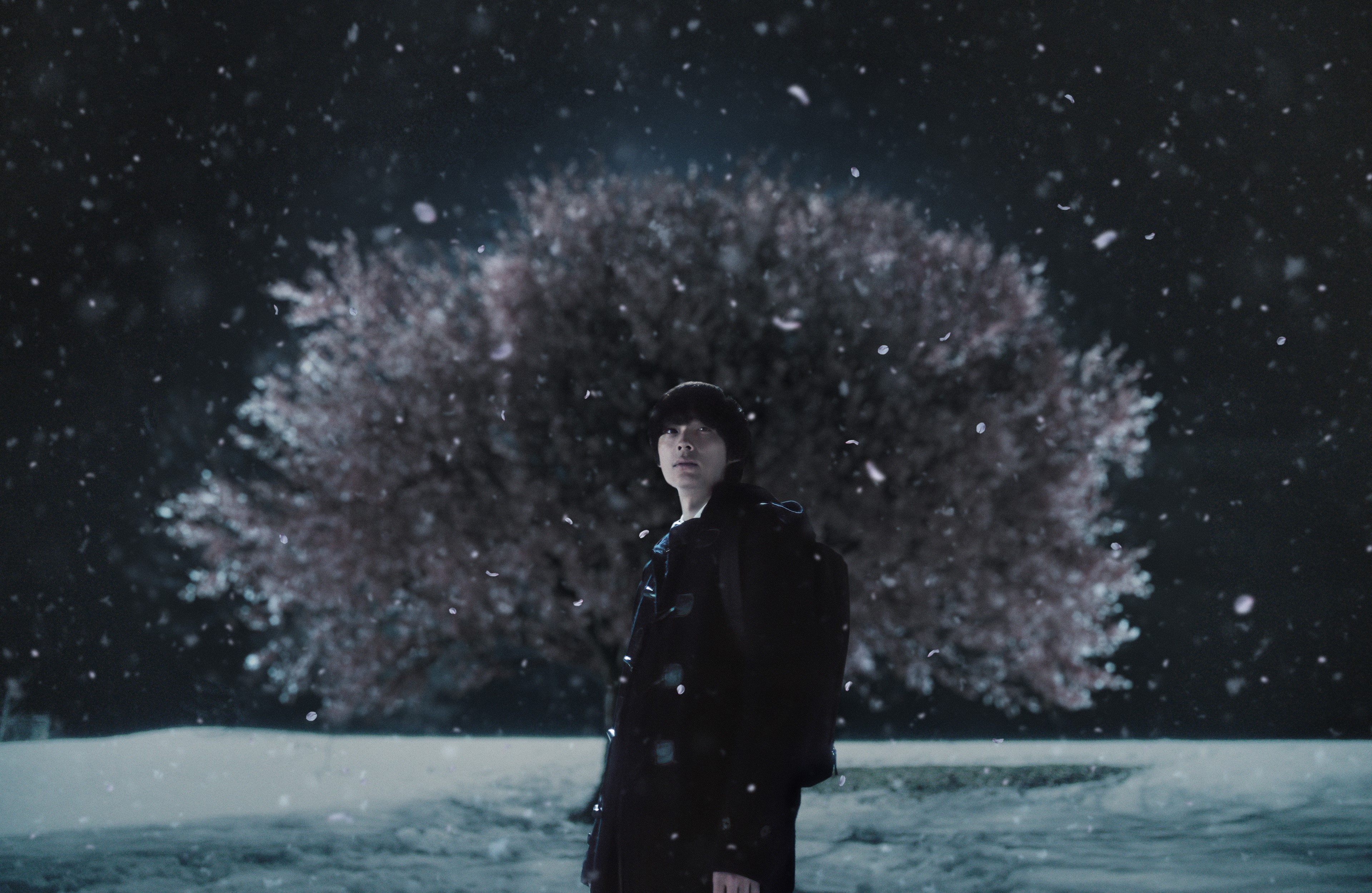 초속 5센티미터