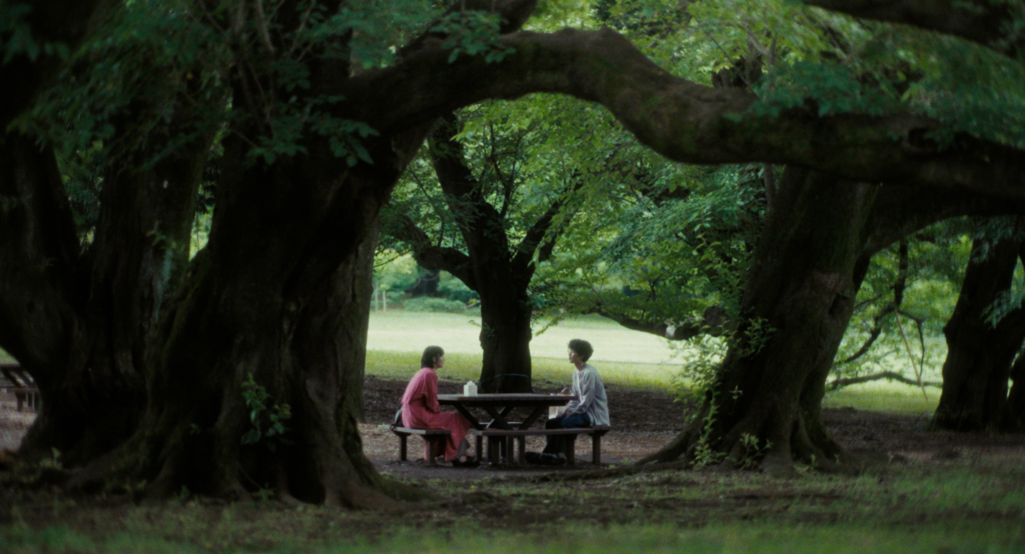 고양이를 놓아줘